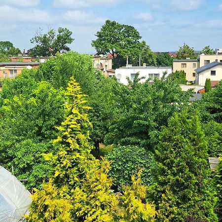 Apartament Lena Daire Gdynia Dış mekan fotoğraf